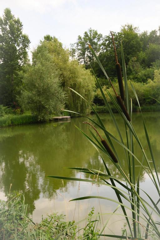 Homestay Les Temps Des Sources Veyrines-de-Domme